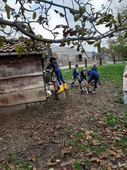 Boerderijklas 2020 deel1_14