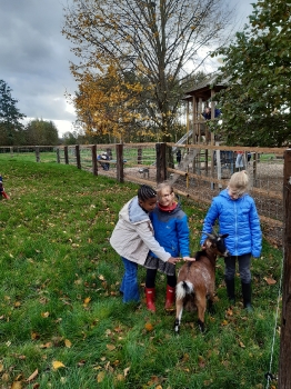 Boerderijklas 2020 deel1_15