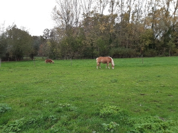 Boerderijklas 2020 deel1_25