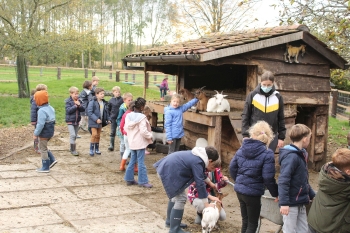 Boerderijklas 2020 deel1_293