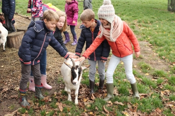 Boerderijklas 2020 deel1_294