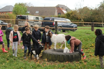 Boerderijklas 2020 deel1_307