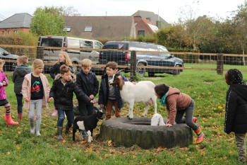 Boerderijklas 2020 deel1_307