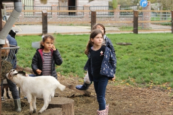 Boerderijklas 2020 deel1_310