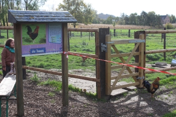 Boerderijklas 2020 deel1_311