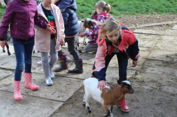 Boerderijklas 2020 deel1_318