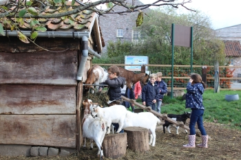 Boerderijklas 2020 deel1_321