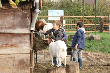 Boerderijklas 2020 deel1_322