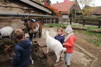 Boerderijklas 2020 deel1_329