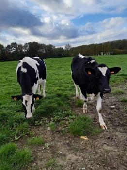 Boerderijklas 2020 deel1_36