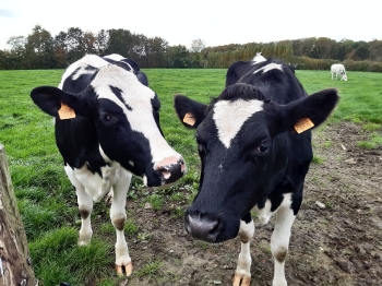 Boerderijklas 2020 deel1_37