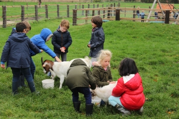 Boerderijklas deel2_216