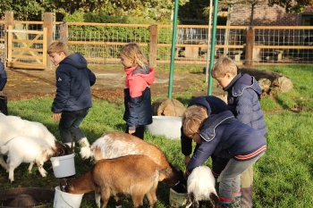 Boerderijklas deel3_130