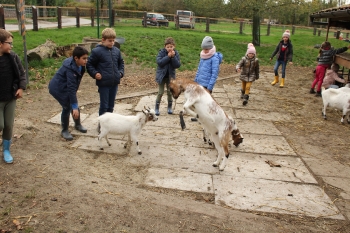 Boerderijklas deel3_65