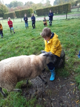 Boerderijklas 202122_107