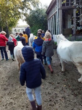 Boerderijklas 202122_116