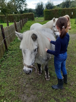 Boerderijklas 202122_145