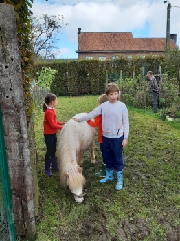 Boerderijklas 202122_146