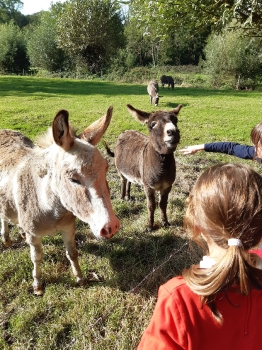 Boerderijklas 202122_149