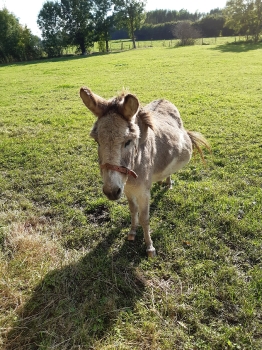 Boerderijklas 202122_152