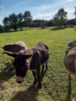 Boerderijklas 202122_153