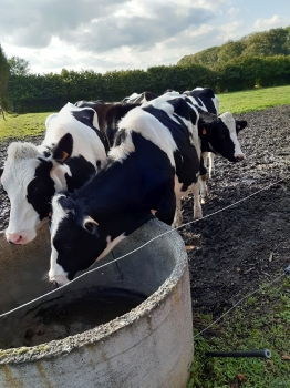 Boerderijklas 202122_154