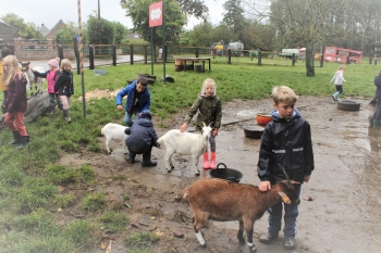 Boerderijklas 202122_335