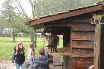 Boerderijklas 202122_349