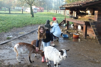 Boerderijklas 202122_421