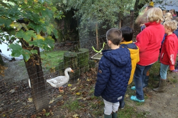 Boerderijklas 202122_434