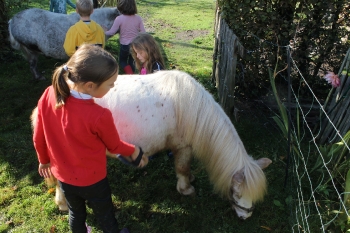 Boerderijklas 202122_493