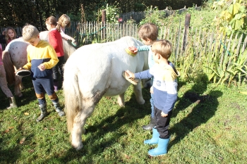 Boerderijklas 202122_495