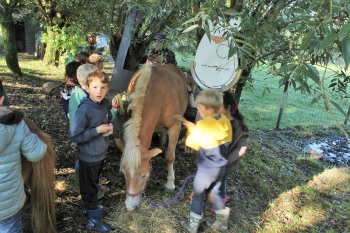 Boerderijklas 202122_559