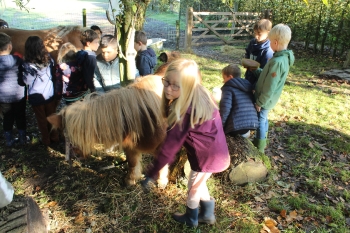 Boerderijklas 202122_560