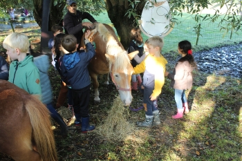 Boerderijklas 202122_561