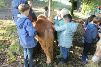 Boerderijklas 202122_562