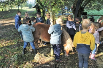 Boerderijklas 202122_564