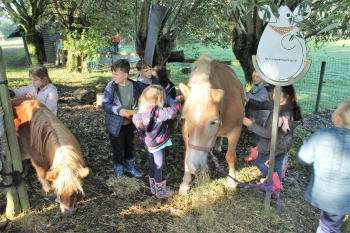 Boerderijklas 202122_566