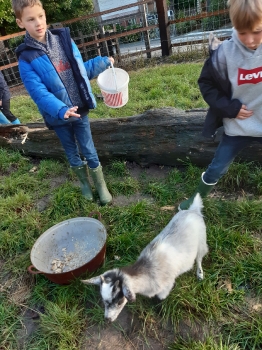 Boerderijklas 202122_98