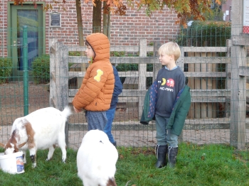 Boerderijklas3_106