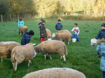 Boerderijklas3_109