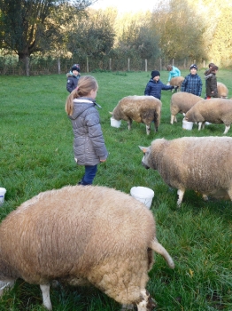 Boerderijklas3_112