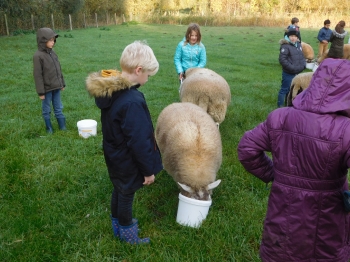 Boerderijklas3_113