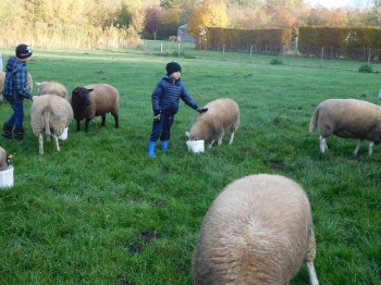 Boerderijklas3_114