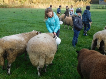 Boerderijklas3_116