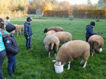 Boerderijklas3_117