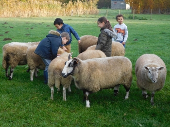 Boerderijklas3_119