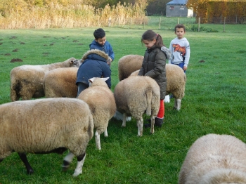 Boerderijklas3_120