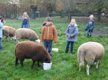 Boerderijklas3_125