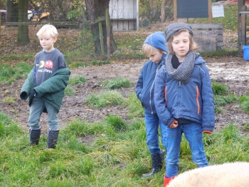 Boerderijklas3_127